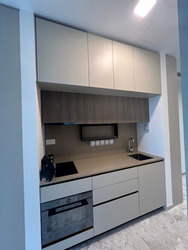 The Avenir (D9), Condominium #450796361